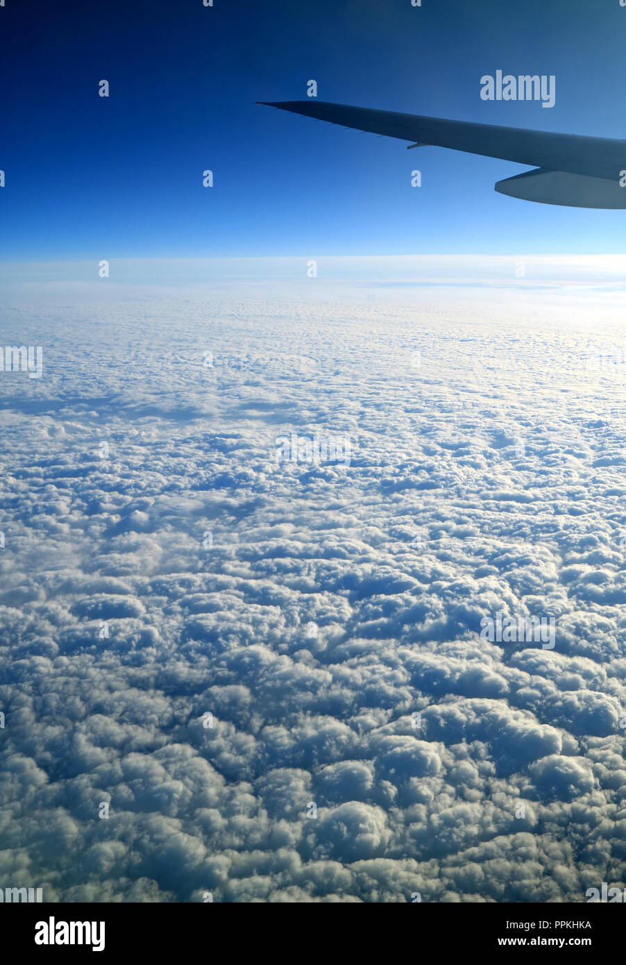 印刷可能 Deep Blue Sky Pure White Wings Deep Blue Sky Pure White Wings 印刷可能 Deep Blue Sky Pure White Wings Deep Blue Sky Pure White Wings