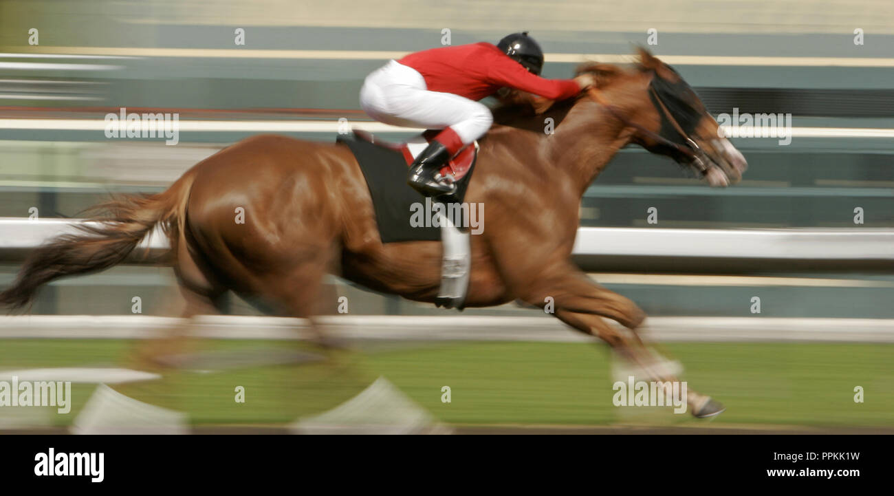 Motion Blur Racing Horse and Jockey Stock Photo