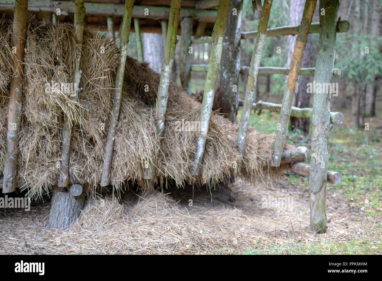 Fodder Rack Animals Spring fodder rack hi-res stock photography and images - Alamy