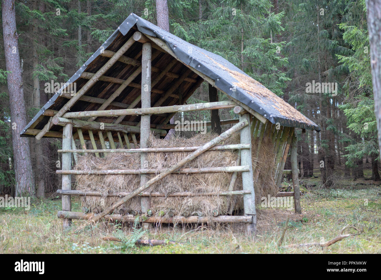 Fodder Rack Animals Spring fodder rack hi-res stock photography and images - Alamy
