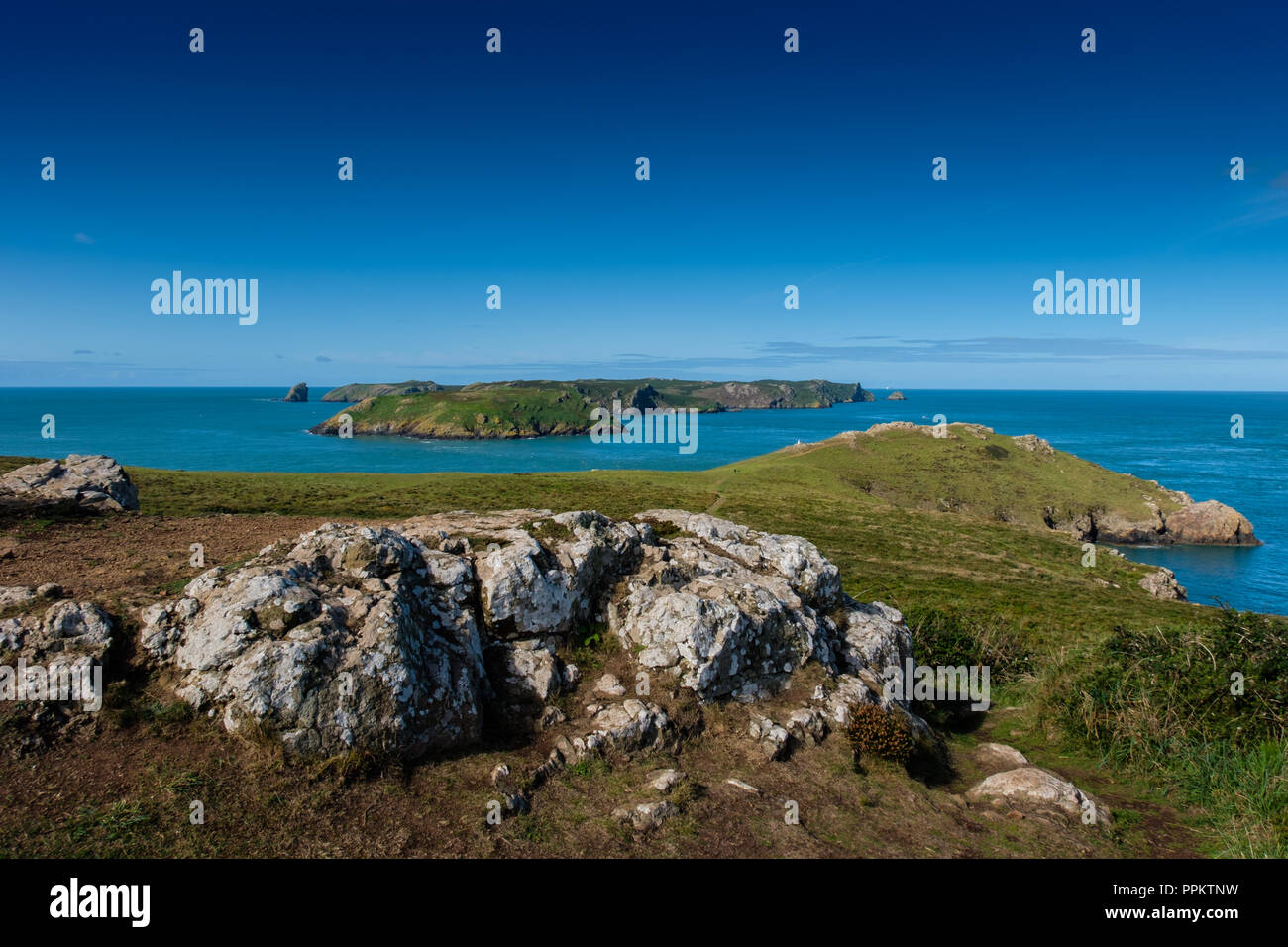 View from the Lookout Station across to Skomer at Martin's Haven, near Marloes, Pembrokeshire, Wales Stock Photo