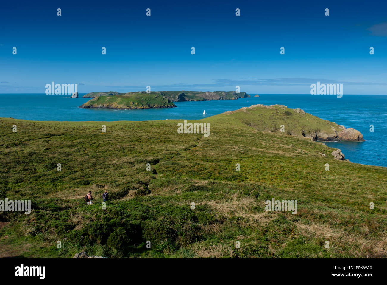 Skomer Island seen from the Lookout Station at Martin's Haven, near Marloes, Pembrokeshire, Wales Stock Photo