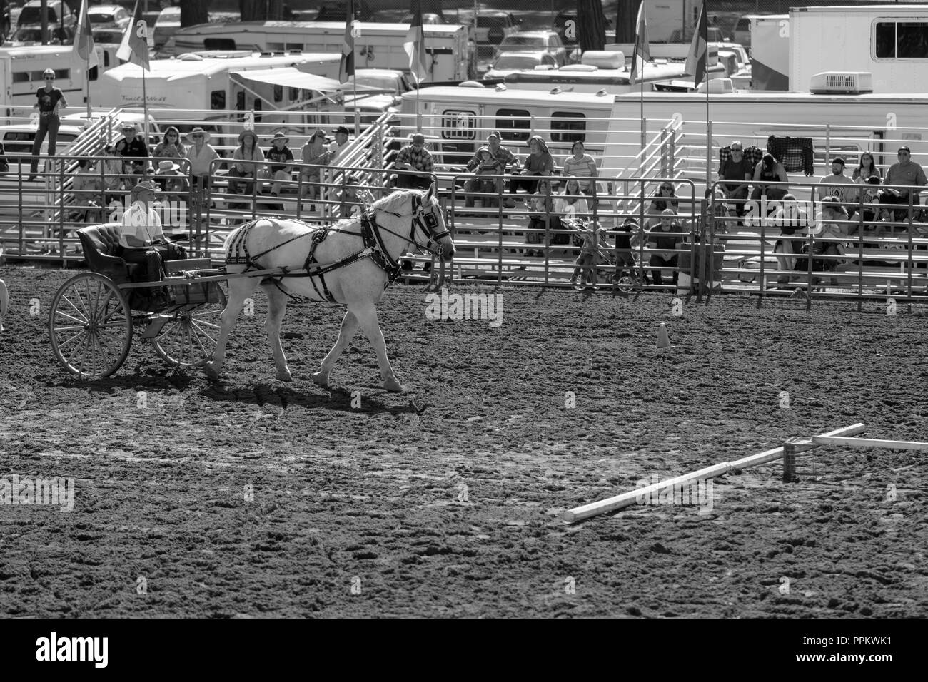 Grass Valley, California, USA. 22 September 2018. Draft Horse Classic