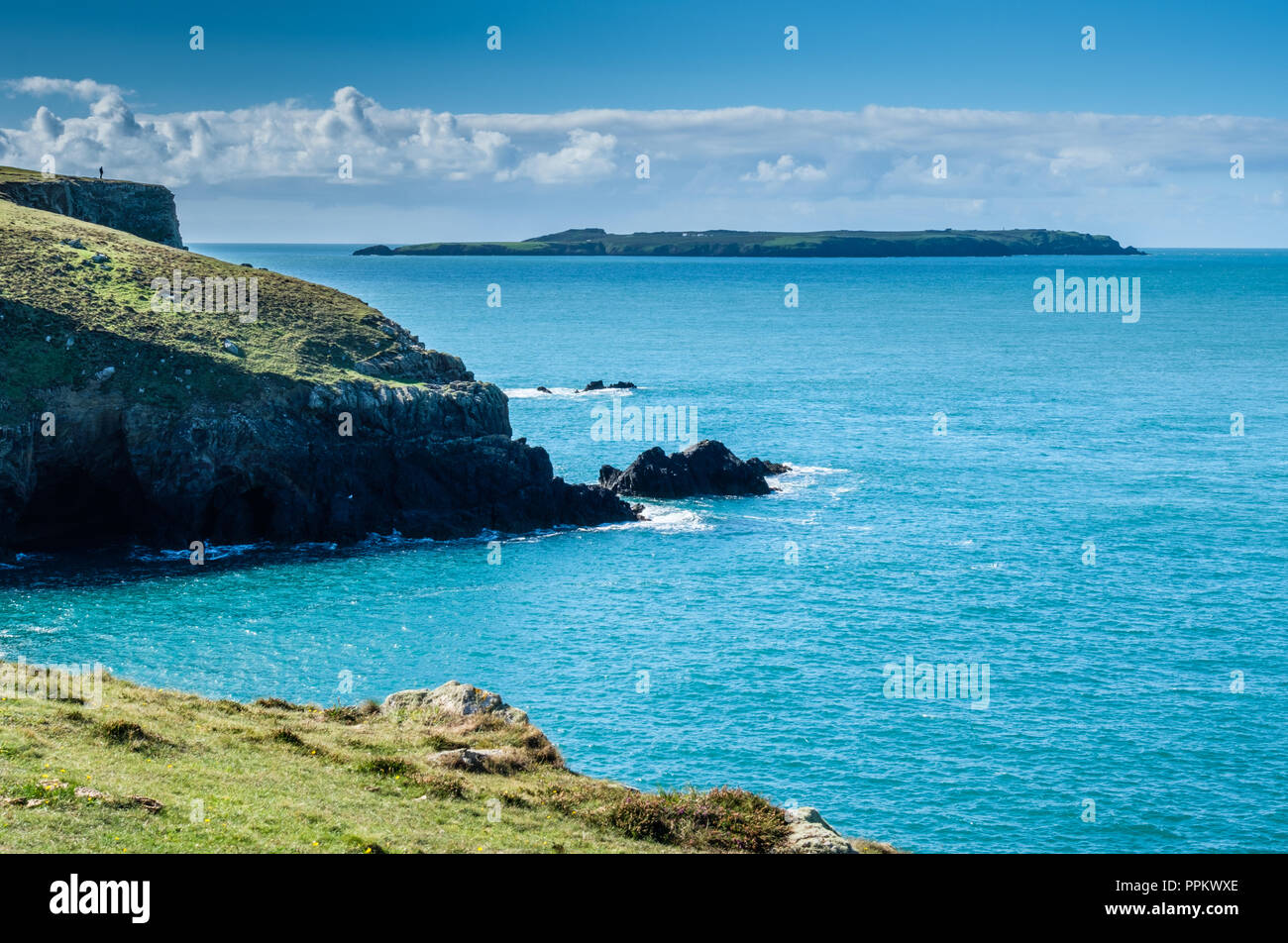 Skokholm Island seen from the headland at Martin's Haven, near Marloes, Pembrokeshire, Wales Stock Photo