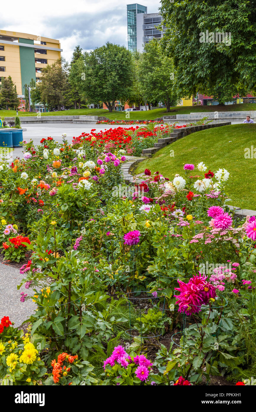 Flower gardens in Town Square Park in downtown Anchorage Alaska Stock Photo