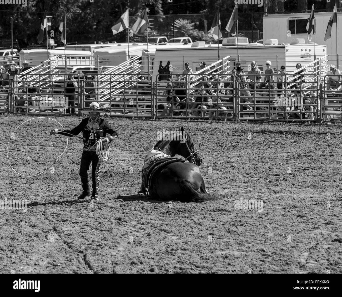 Grass Valley, California, USA. 22 September 2018. Draft Horse Classic and Harvest Fair at the