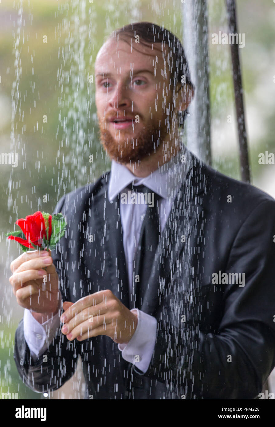 A man waiting in the rain for the woman he loves offers her a single red rose Stock Photo