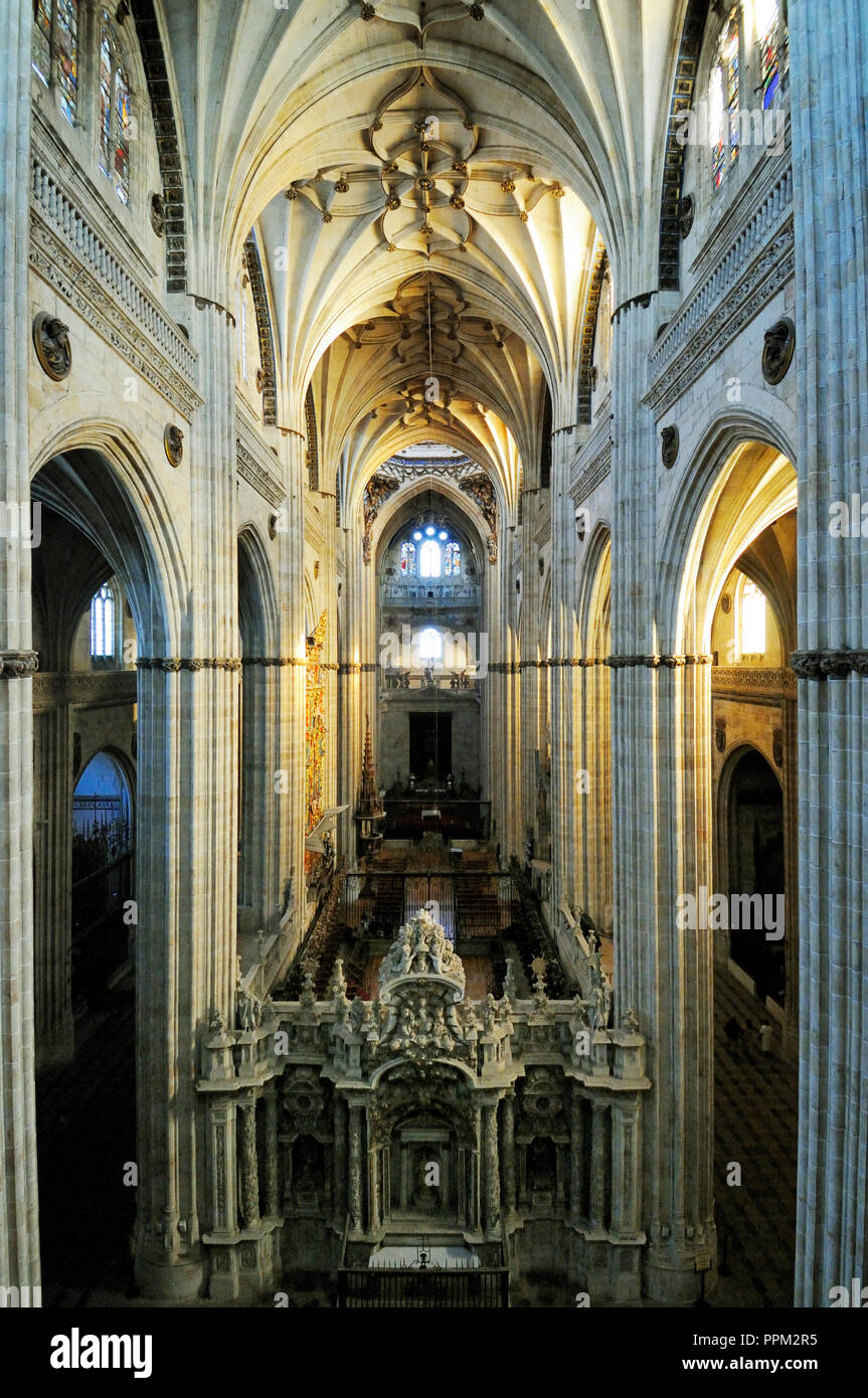 Catedral Vieja de Santa María (Old Cathedral). A Unesco World Heritage Site, Salamanca, Spain Stock Photo