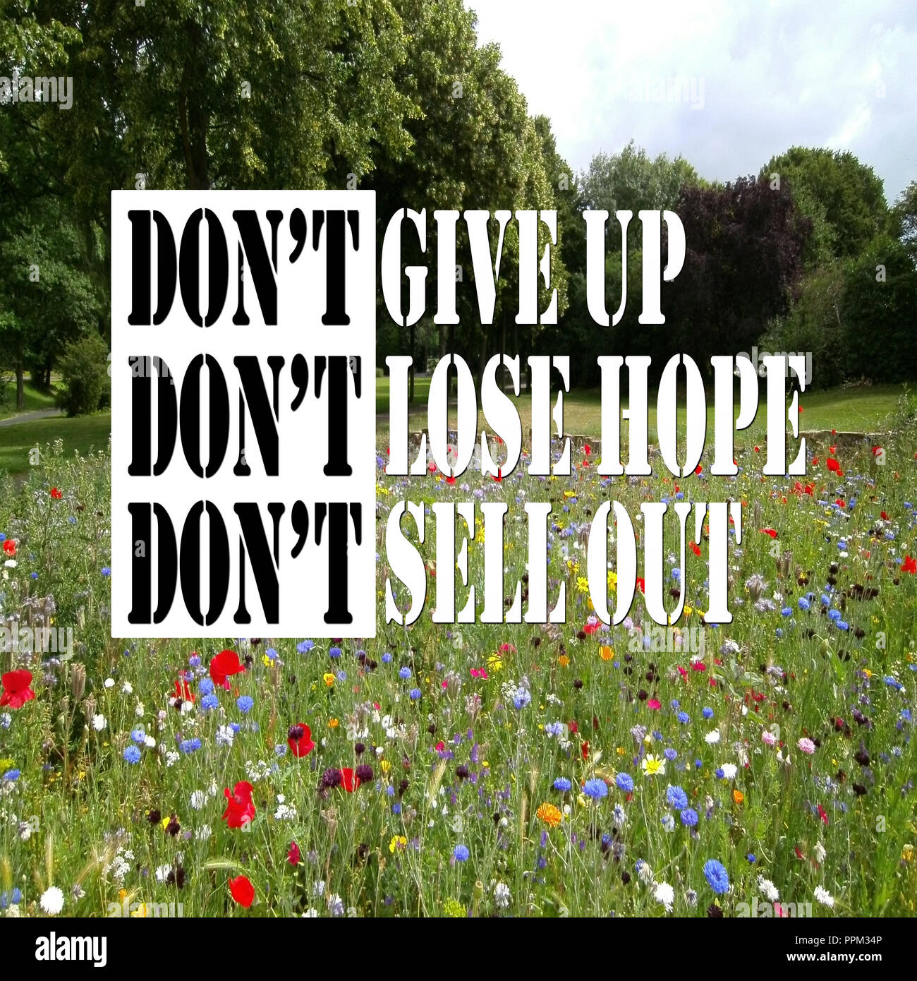 Dont Give Up Stock s & Dont Give Up Stock Alamy Dont Give Up Stock s & Dont Give Up Stock Alamy