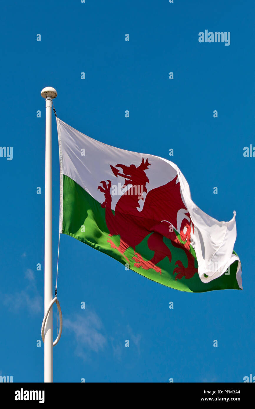 Vertical close up of the Welsh flag at fullmast. Stock Photo