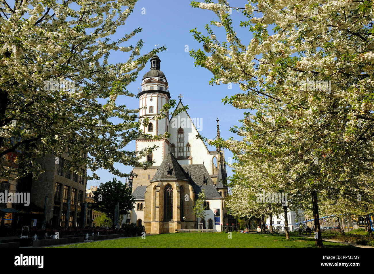 Thomaskirche where, in 1723, Johann Sebastian Bach was appointed Cantor and Director of Music. Leipzig, Germany Stock Photo