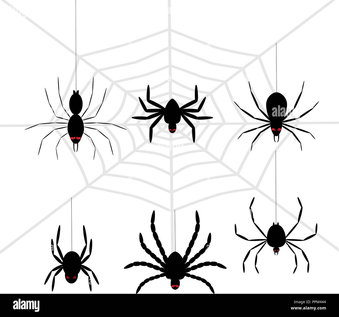 Scary black halloween spider set Stock Vector