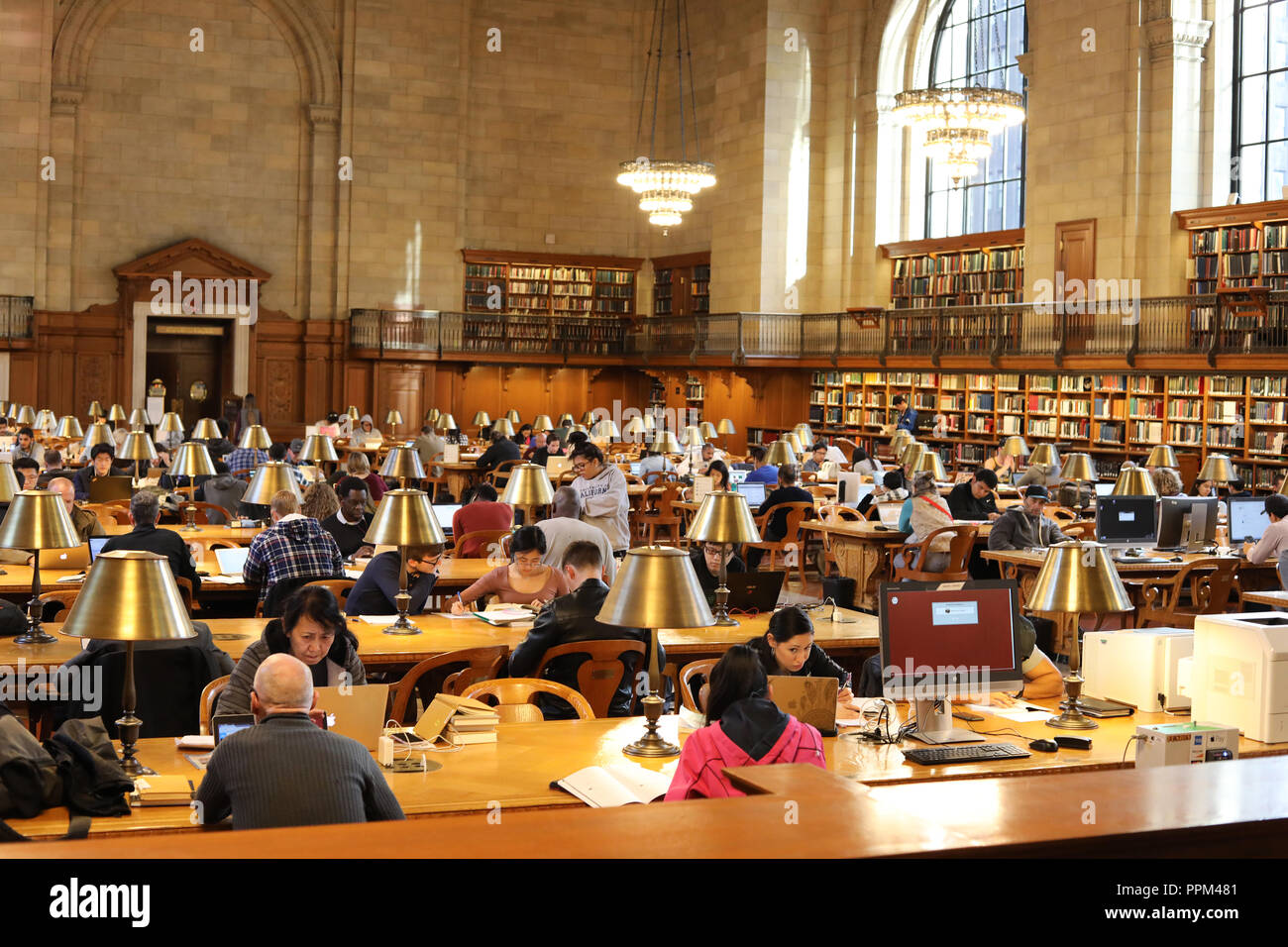 A Slippery Number: How Many Books Can Fit in the New York Public Library? -  The New York Times