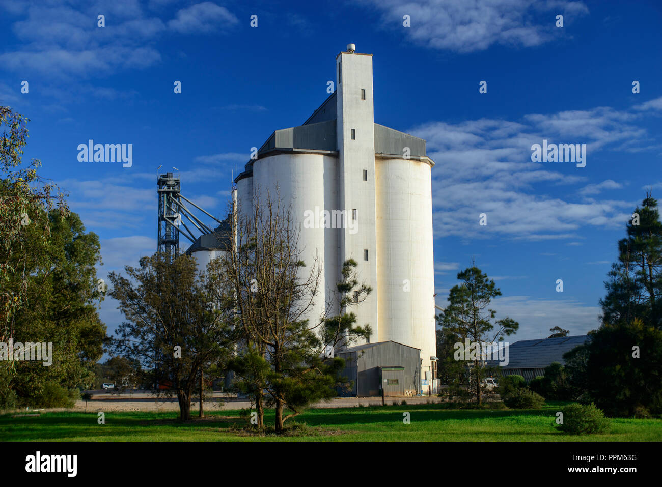 white wheat silos, Wheat belt, Australia Stock Photo Alamy