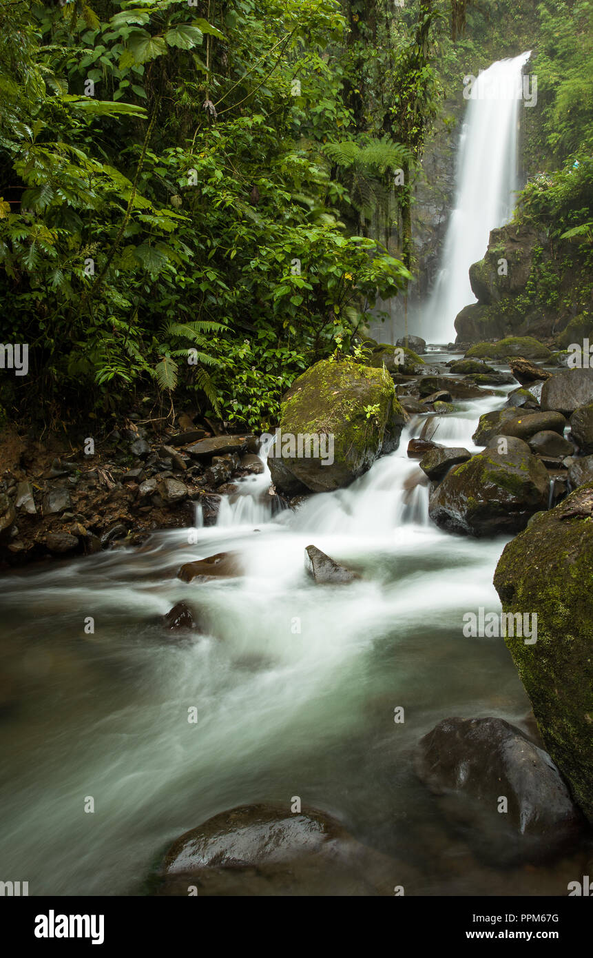 Beautiful waterfall in the rainforest of Costa Rica Stock Photo