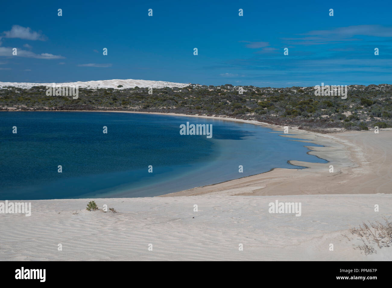 White Sand dunes, cactus beach, the Great Australian Bight, Lake  MacDonnall, Chadinga dunes, South Australia Stock Photo - Alamy