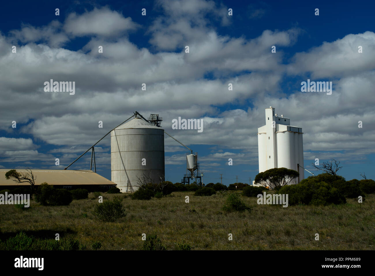 white wheat silos, Wheat belt, Australia Stock Photo Alamy