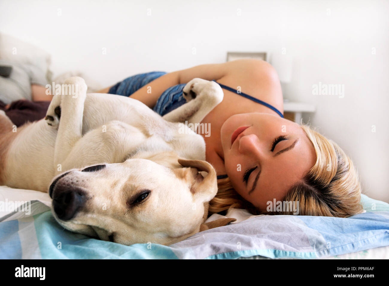 Woman With Dogs At Home Handsome Woman Resting And Sleeping
