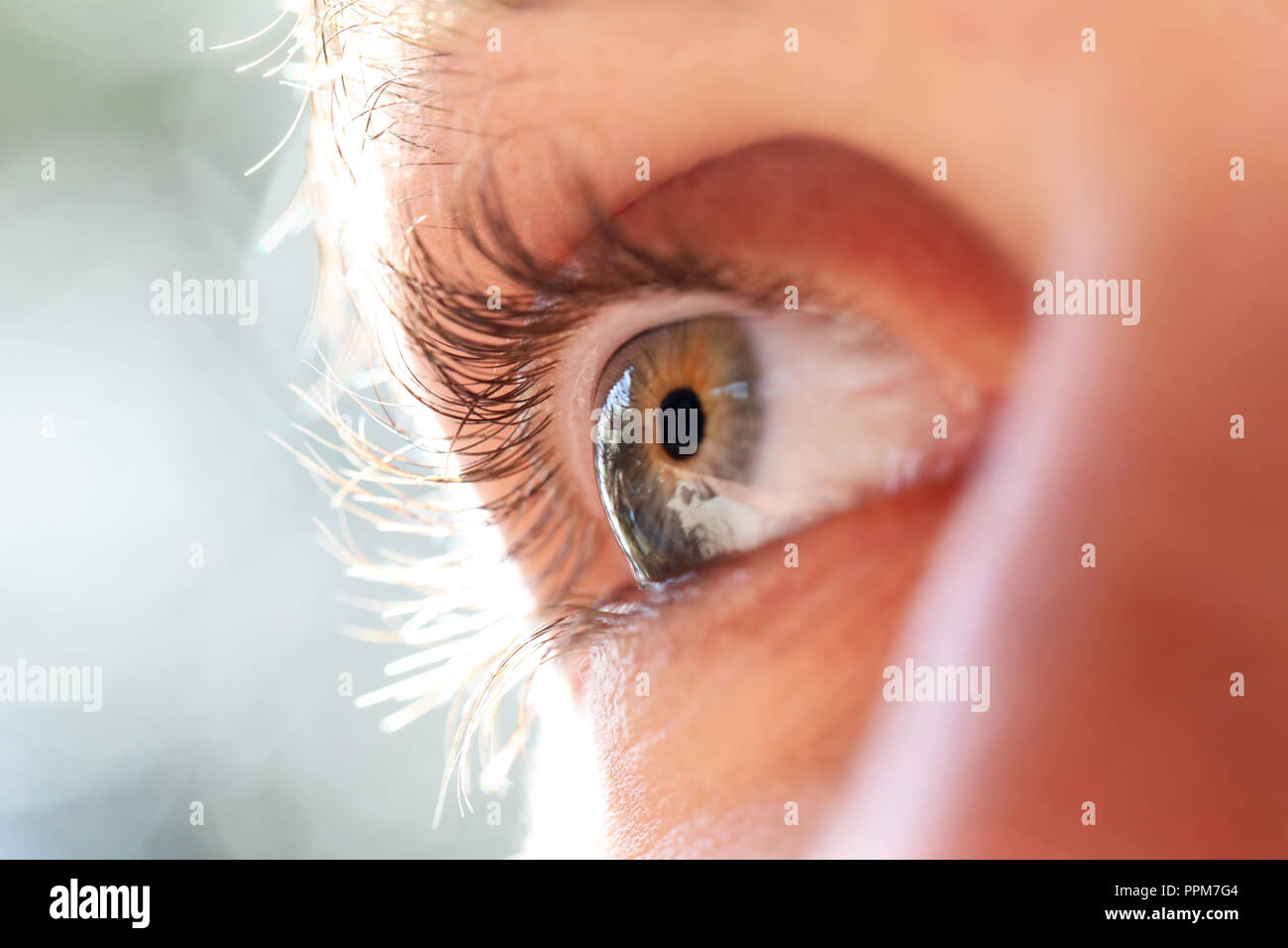 close up macro detail of blue human eye ball iris and eye lashes. 3/4 view shallow depth of field anatomy shot of eye. Stock Photo
