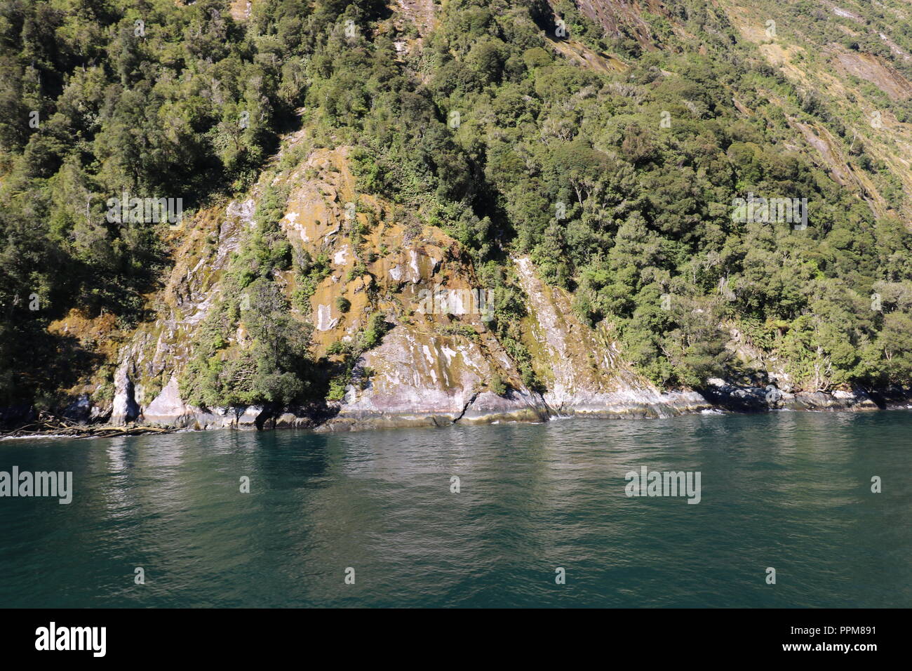 Fjordland National Park, New Zealand , Milford Sound Stock Photo - Alamy