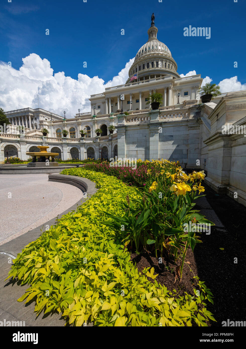 US Capitol, Washington, DC Stock Photo