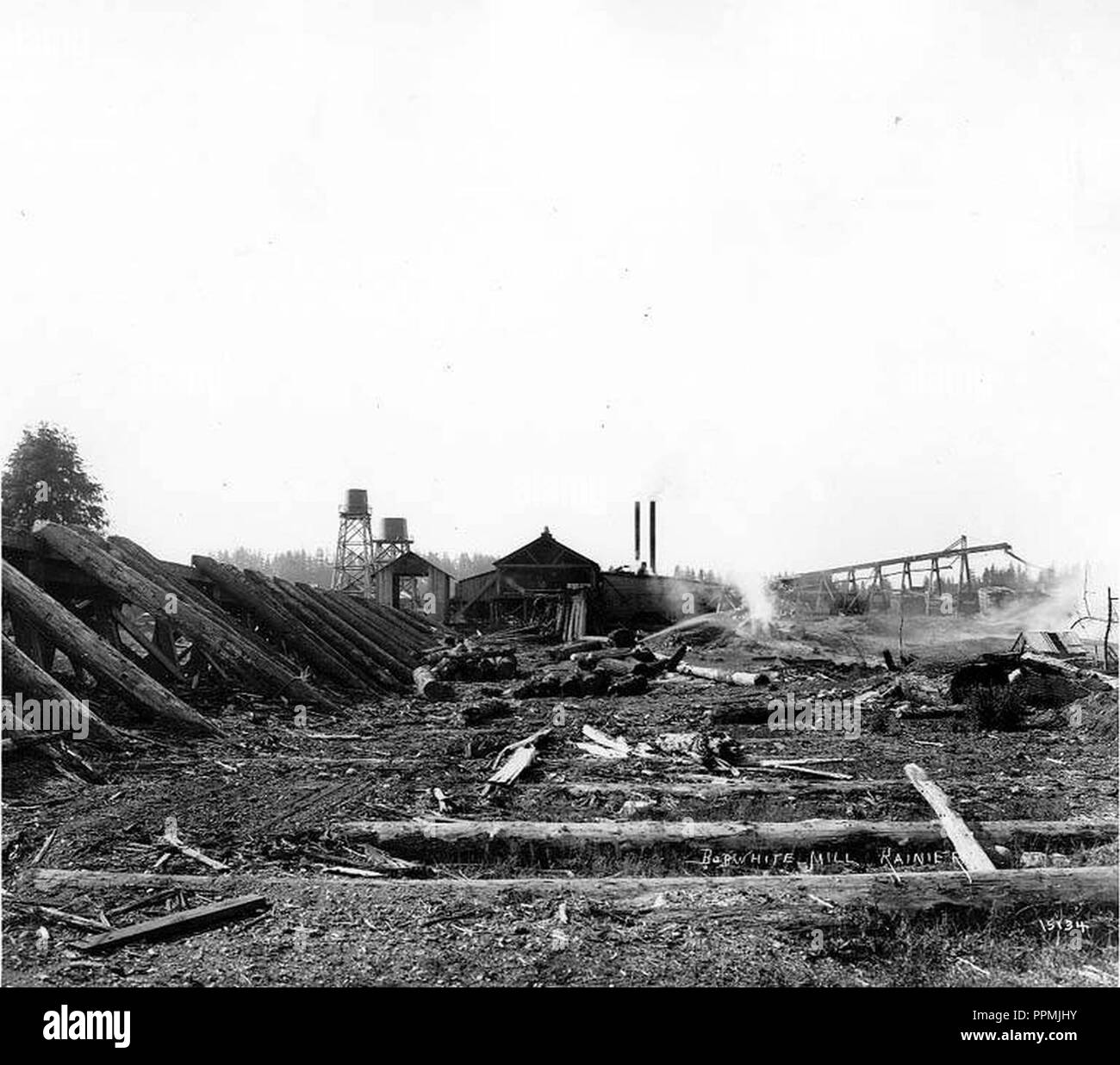 Bob White Lumber Co mill, Rainier, showing rear of mill (CURTIS 1227 Stock Photo Alamy