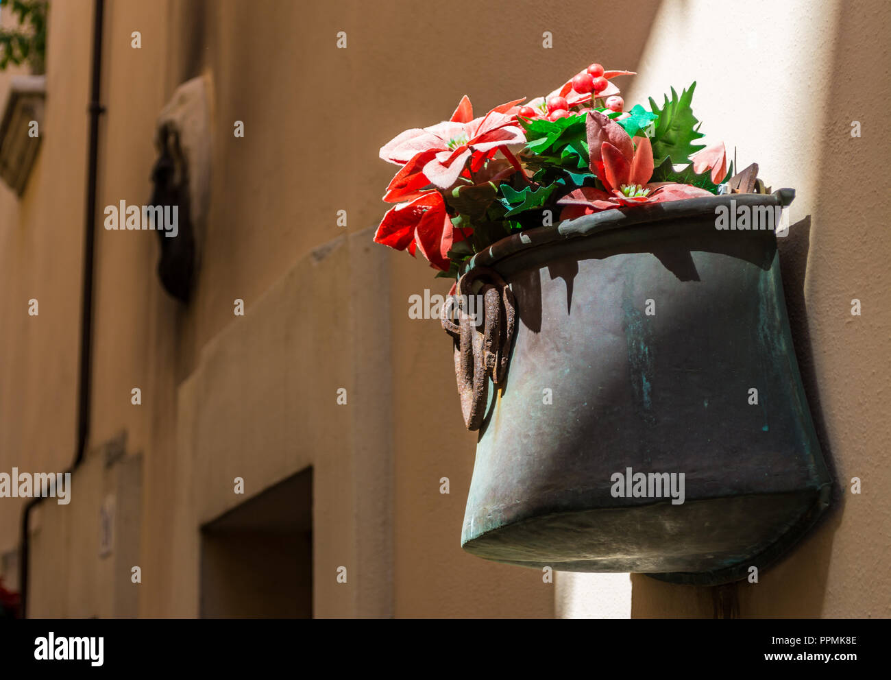Flower pot with red flowers on a wall under a ray of light Stock Photo ...