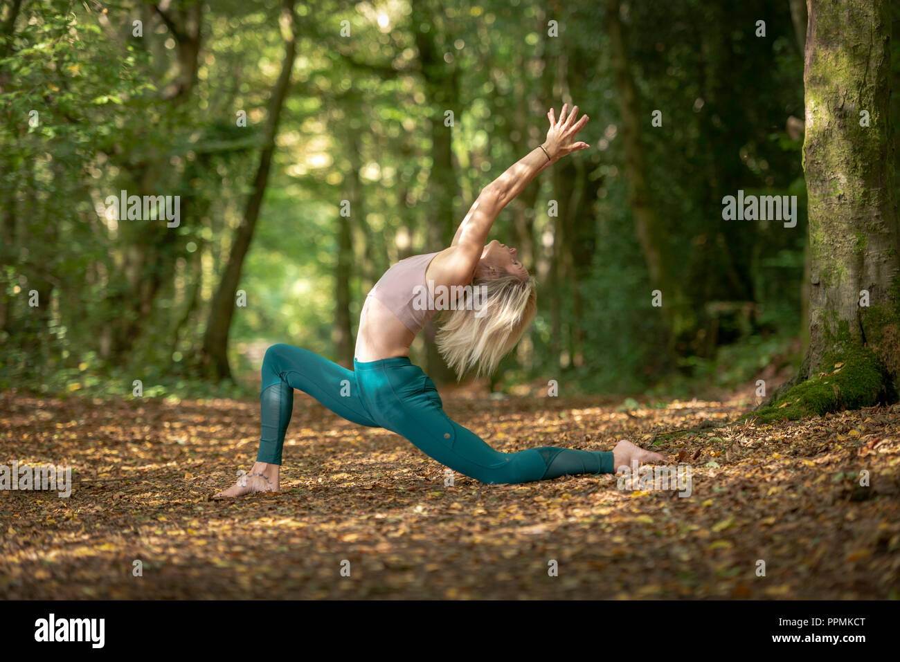 Woman practicing yoga in nature, woodland Stock Photo - Alamy
