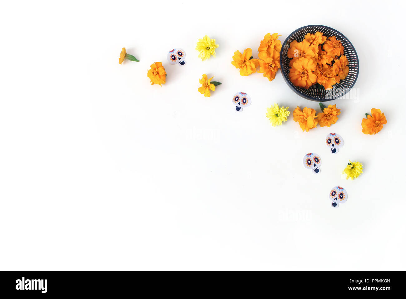 Dia de los Muertos, Mexican Day of the Dead desk composition. Orange tagetes, marigold, chrysanthemum flowers and decorative paper skull stickers. White table background. Halloween flat lay, top view Stock Photo