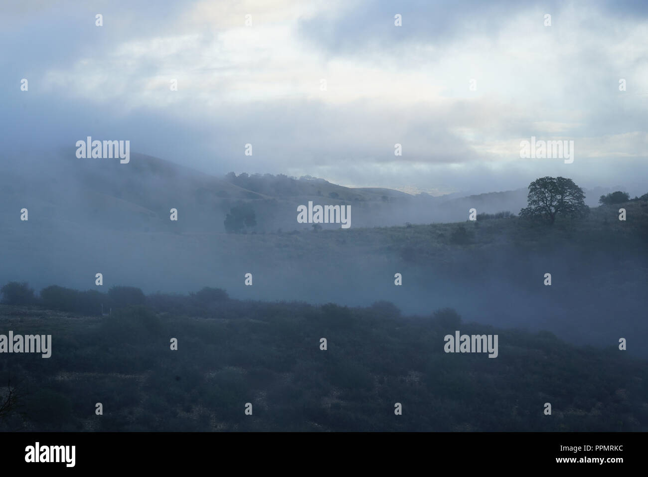 Thick fog over rolling hi-res stock photography and images - Alamy