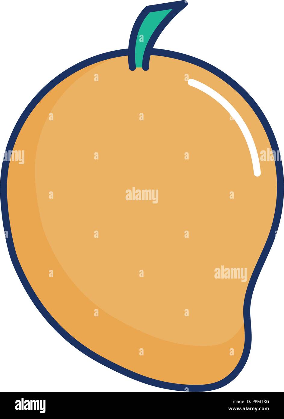 mango tropical fruit food nature vector illustration Stock Vector Image ...