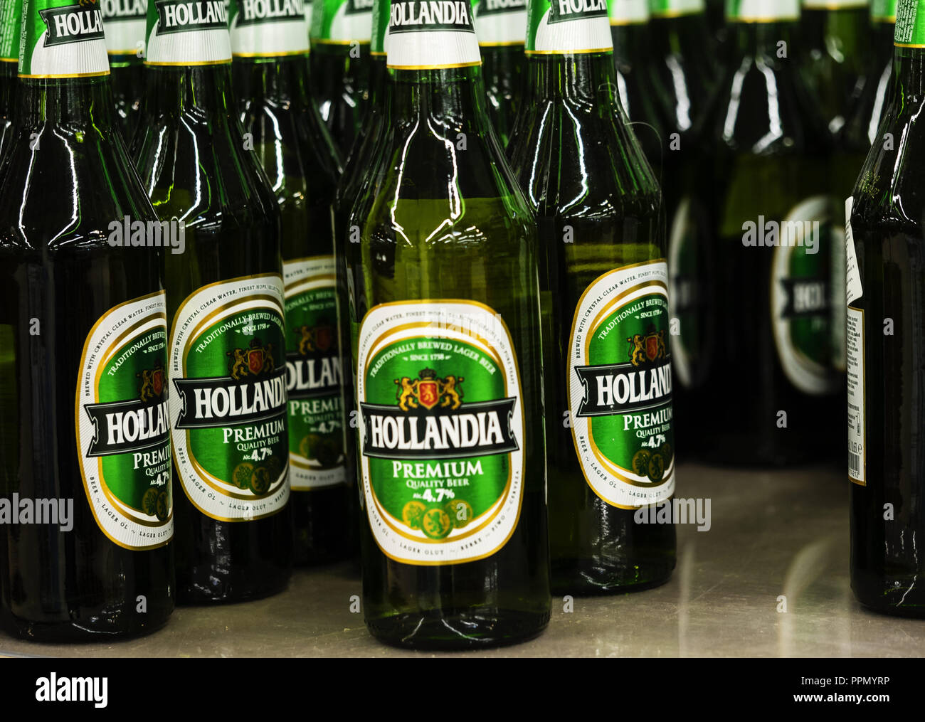 September 26, 2018 - Kiev, Ukraine - Dutch beer, Hollandia bottles seen ...