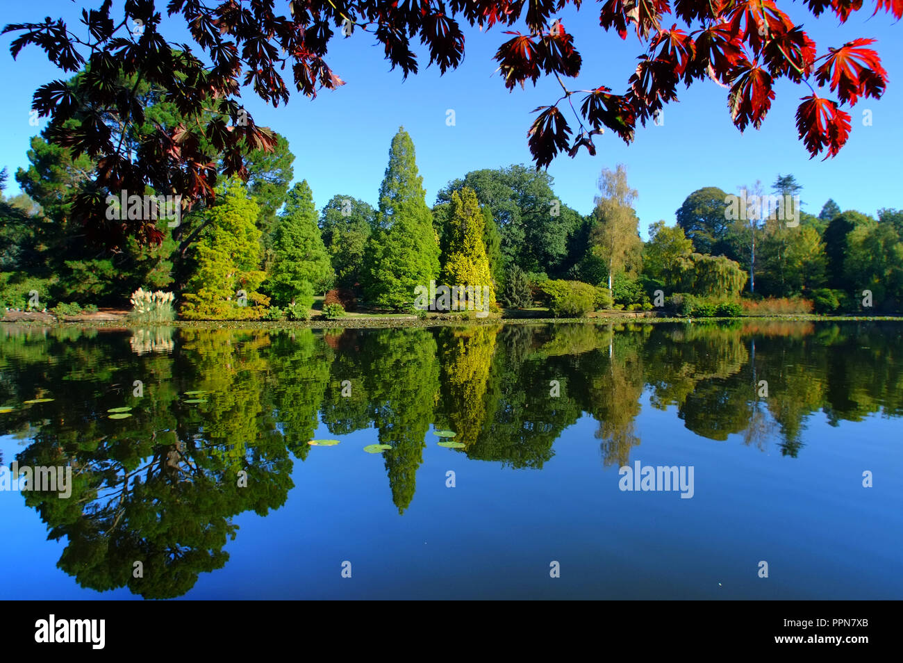 Sheffield Park, East Sussex. 27th September 2018. UK Weather Bright