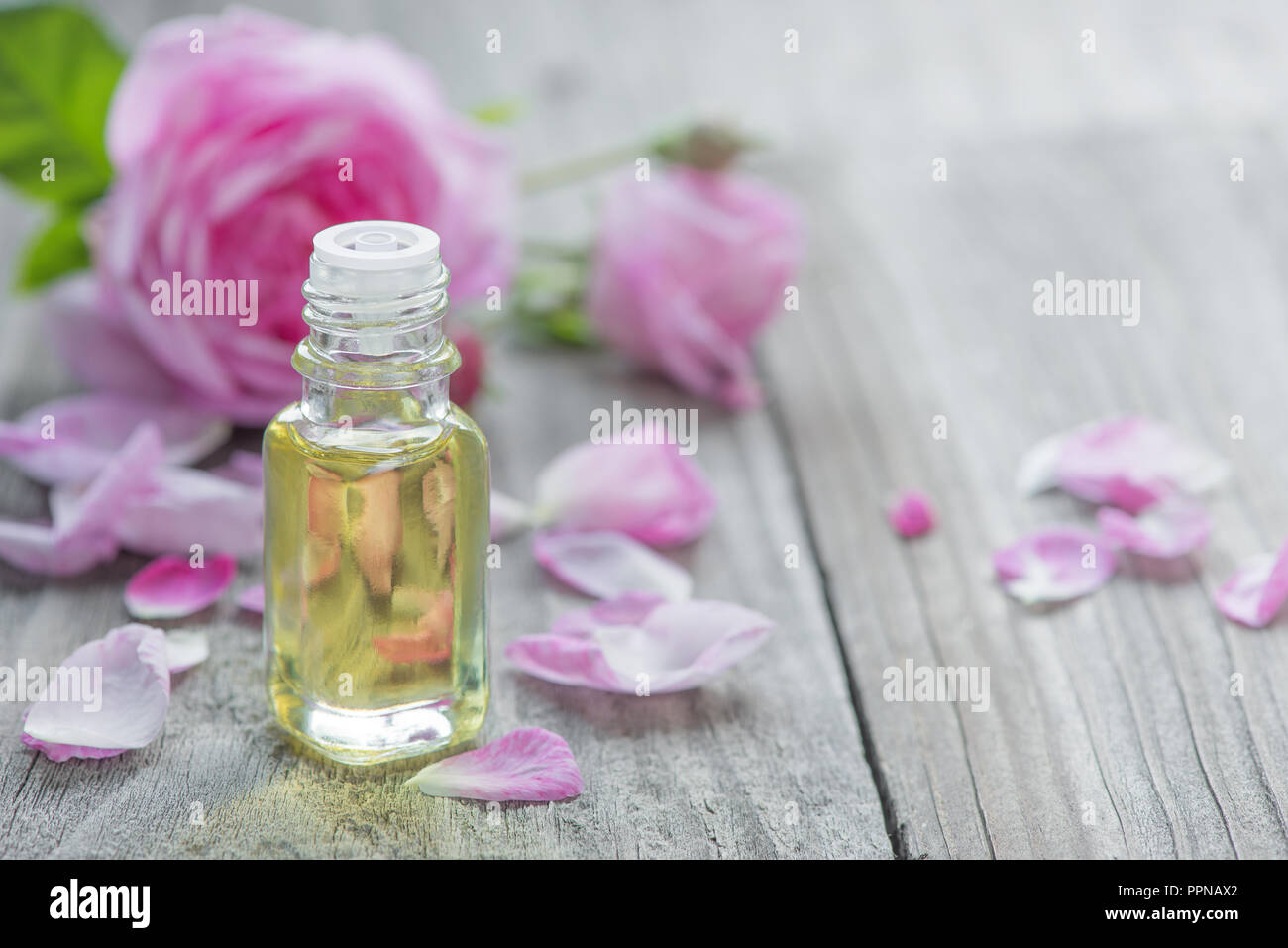 Glass vial with rose essential oil and flower of pink rose on a wooden background with copy-space Stock Photo