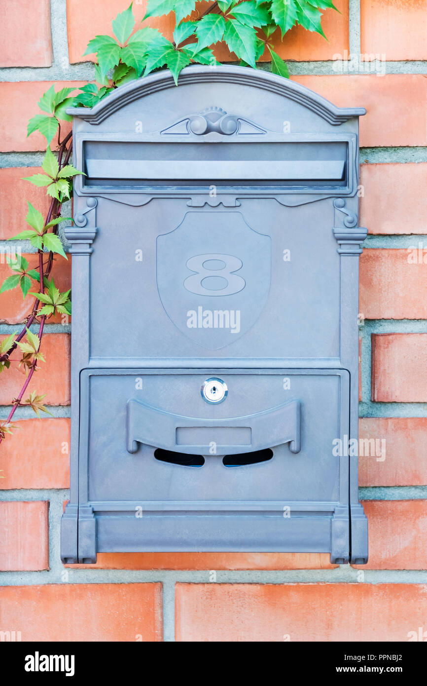 Gray old mailbox on brick wall with grapevine Stock Photo