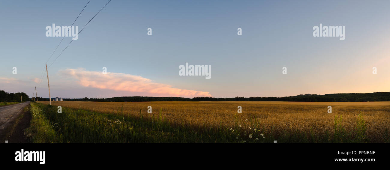 A country field at sunset with cumulus clouds in the distance. Stock Photo