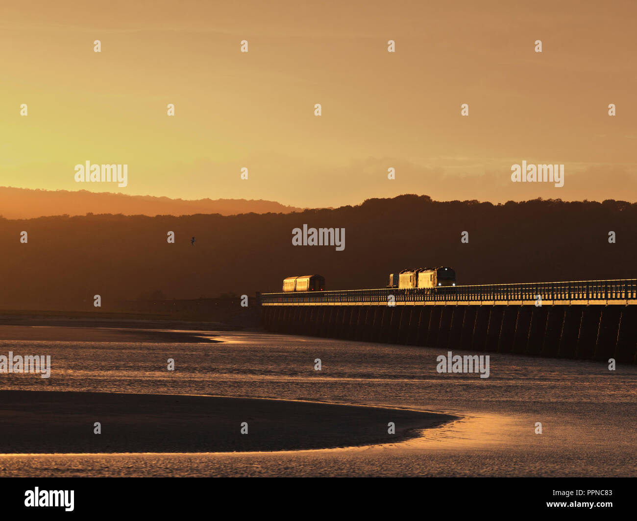 2 Direct rail Services class 88 locomotives with a nuclear flask pass a ...