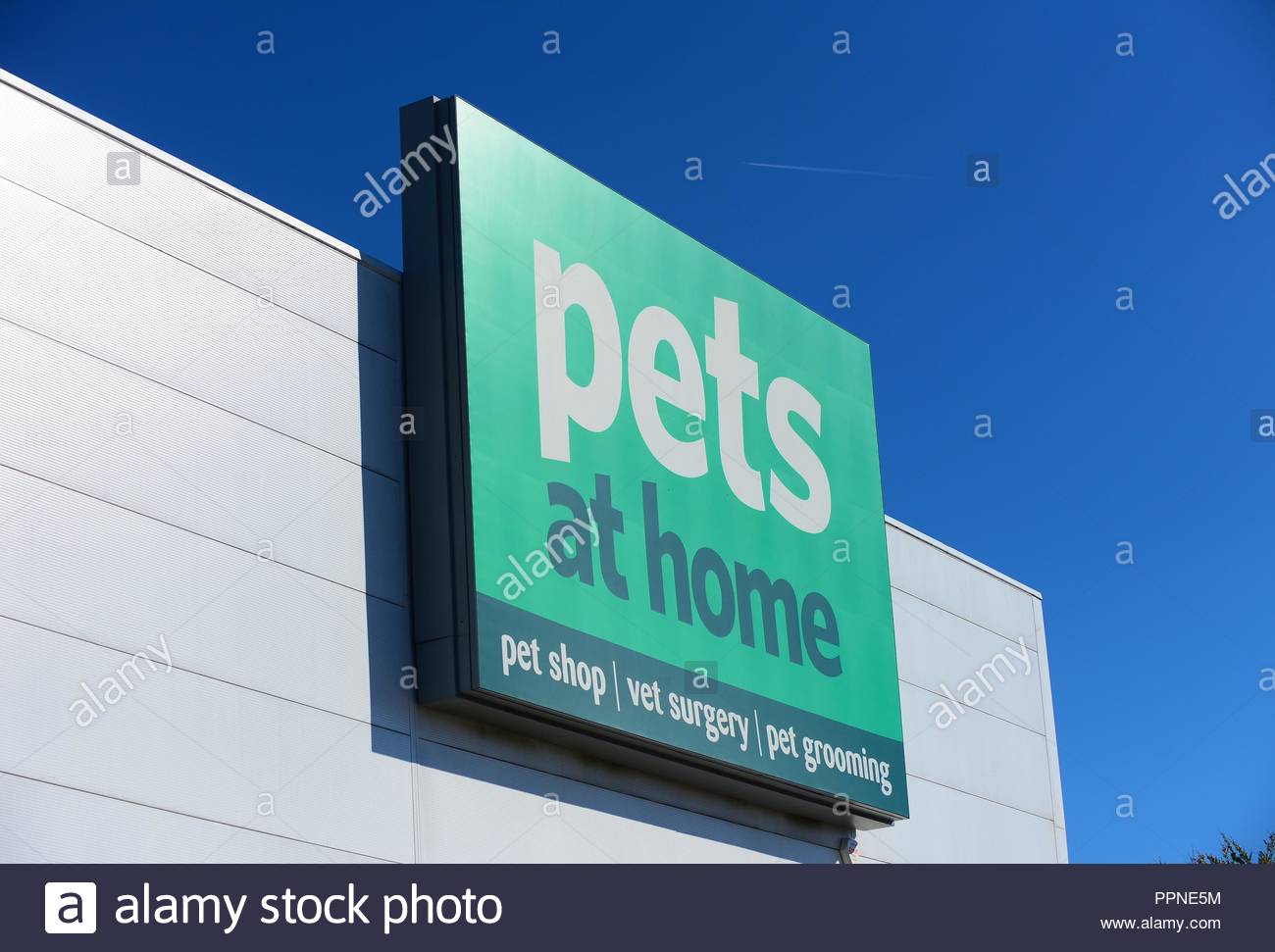 vets4pets middlebrook