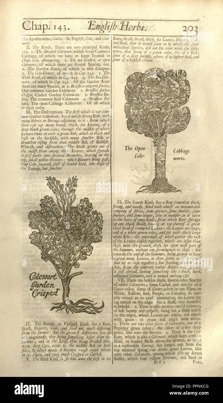 Page203