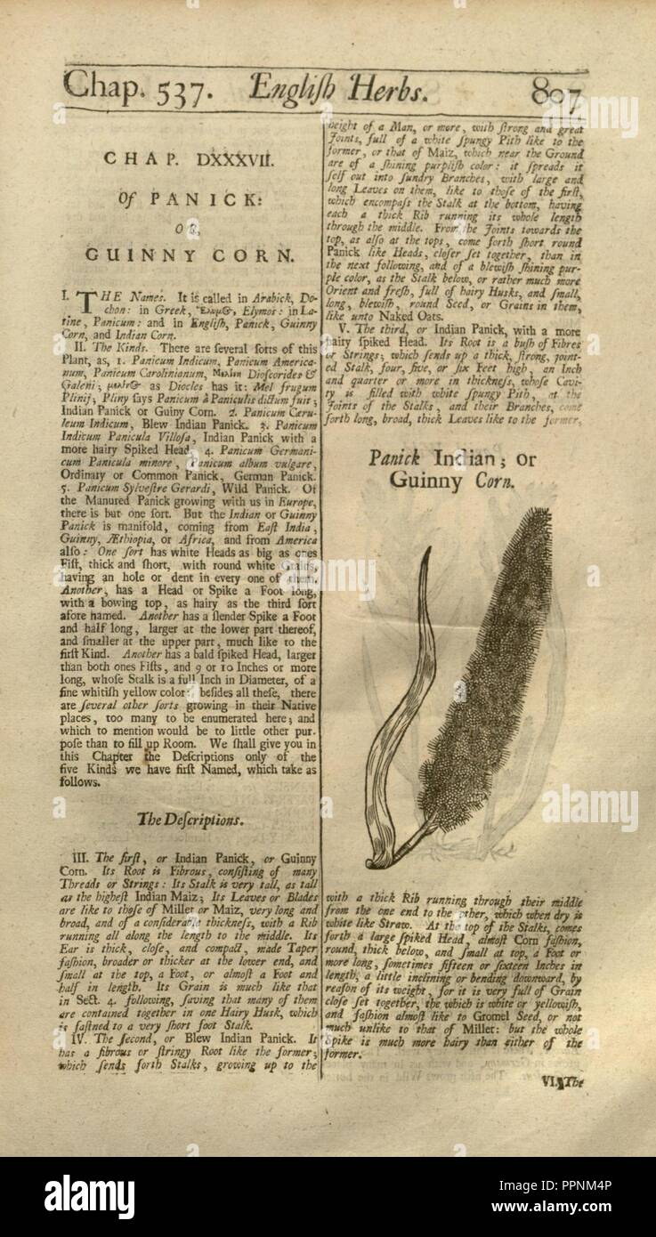 Page805