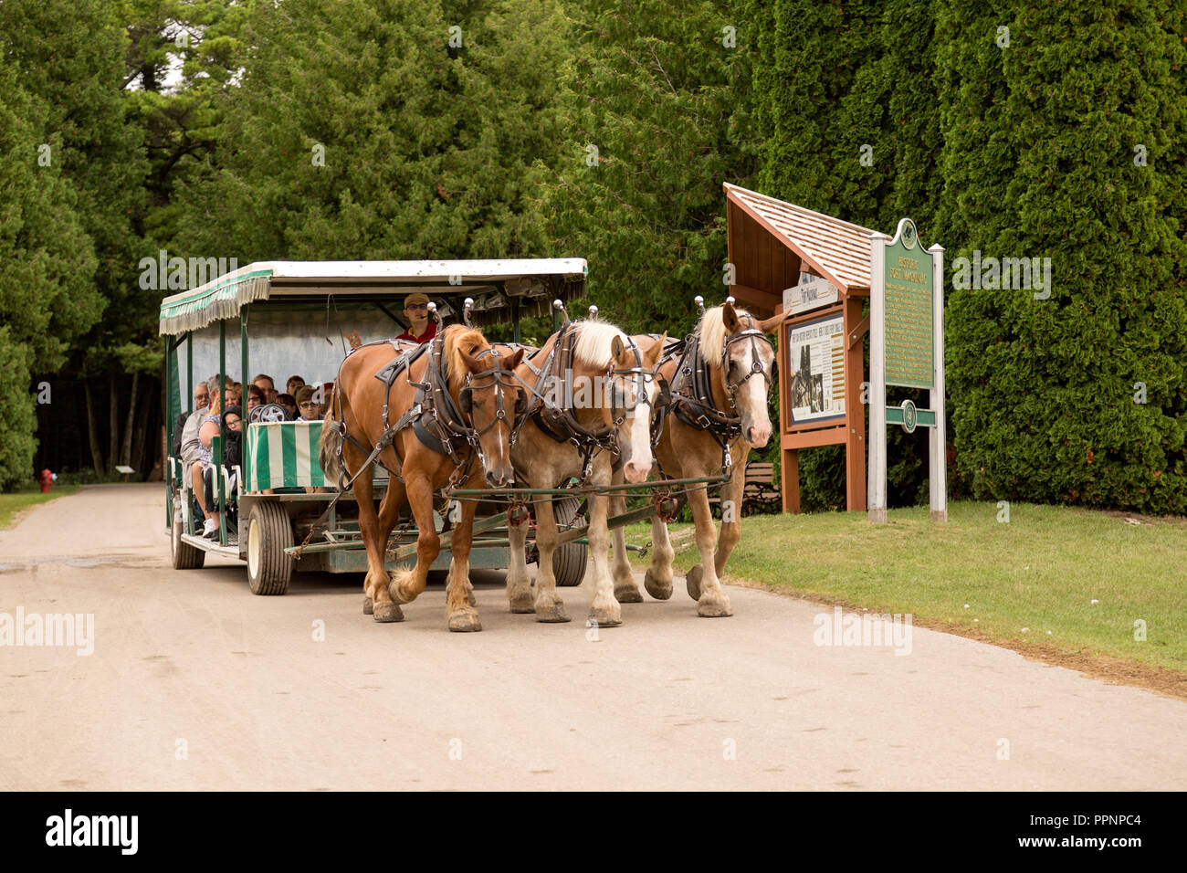 Team of horses pulling tourists in a carriage on Mackinac Island, a historic resort island in the state of Michigan. Stock Photo