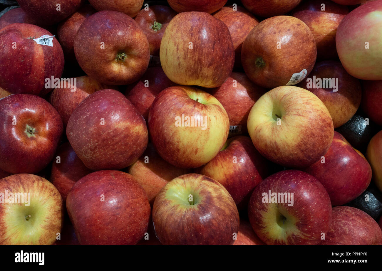 https://c8.alamy.com/comp/PPNPY0/ripe-cortland-apples-on-display-in-a-supermarket-PPNPY0.jpg