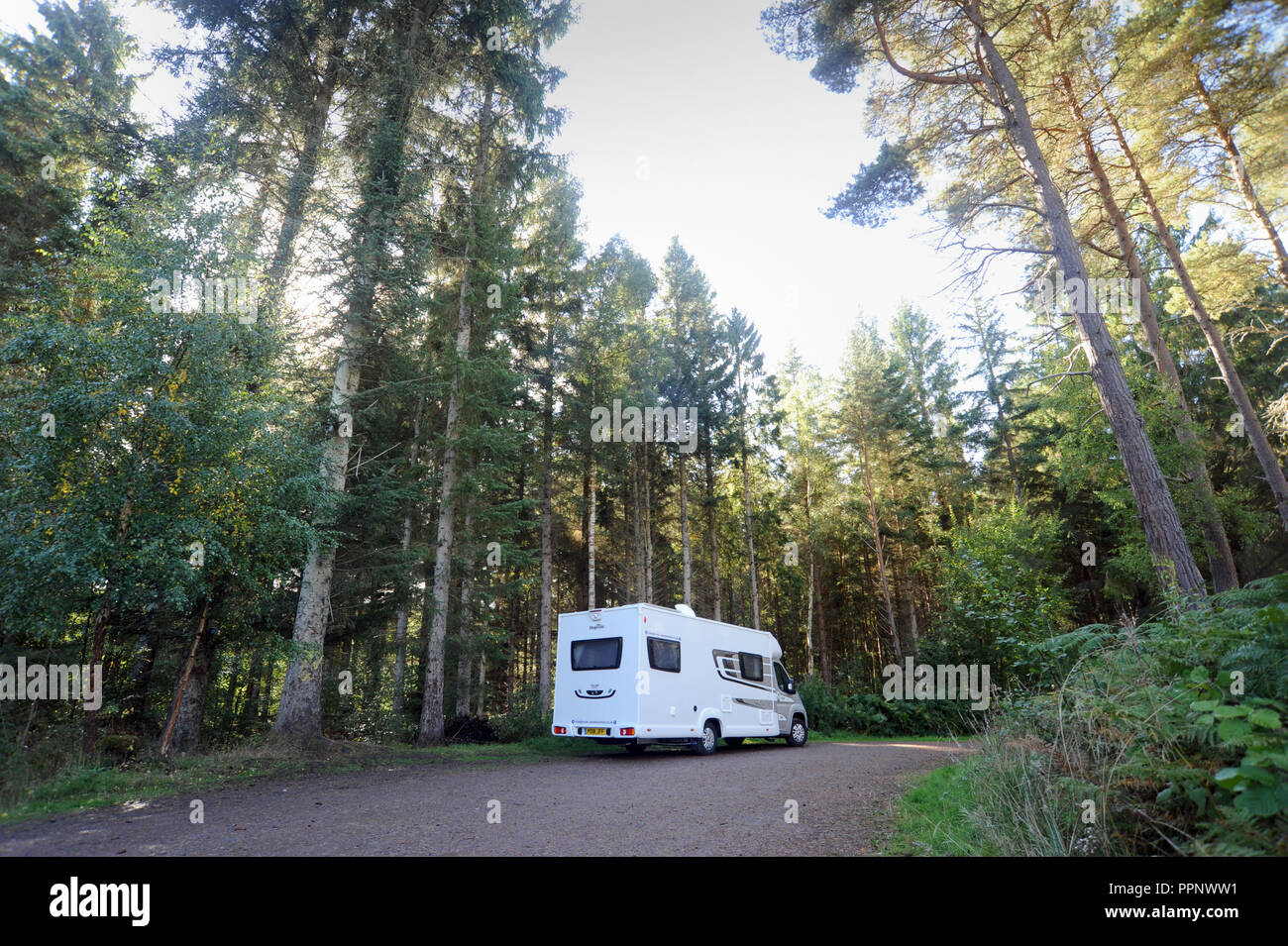 MOTORHOME PARKED IN WOODLAND RE WILD CAMPING CAMPERVANS TOURING HOLIDAYS UK Stock Photo