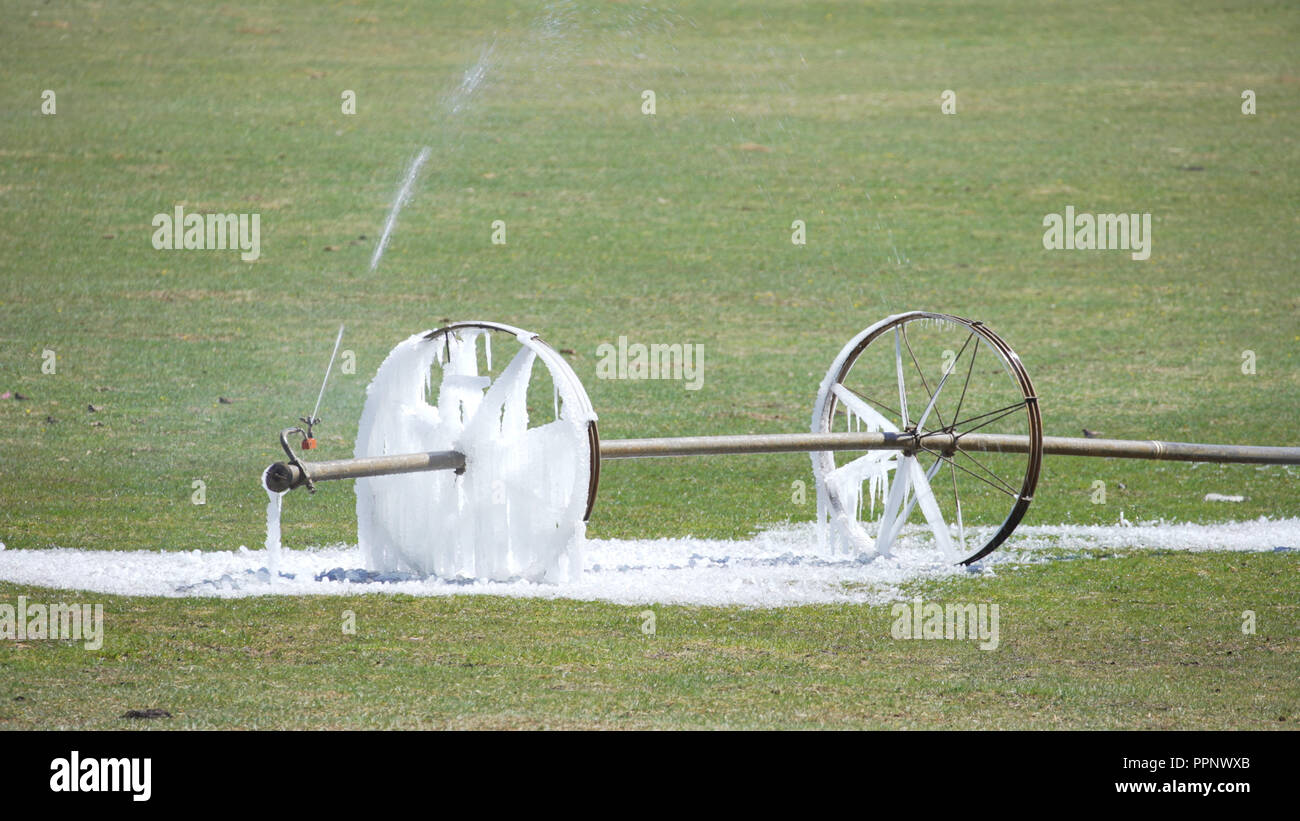 Irrigation system sprinkling water on green grass Stock Photo