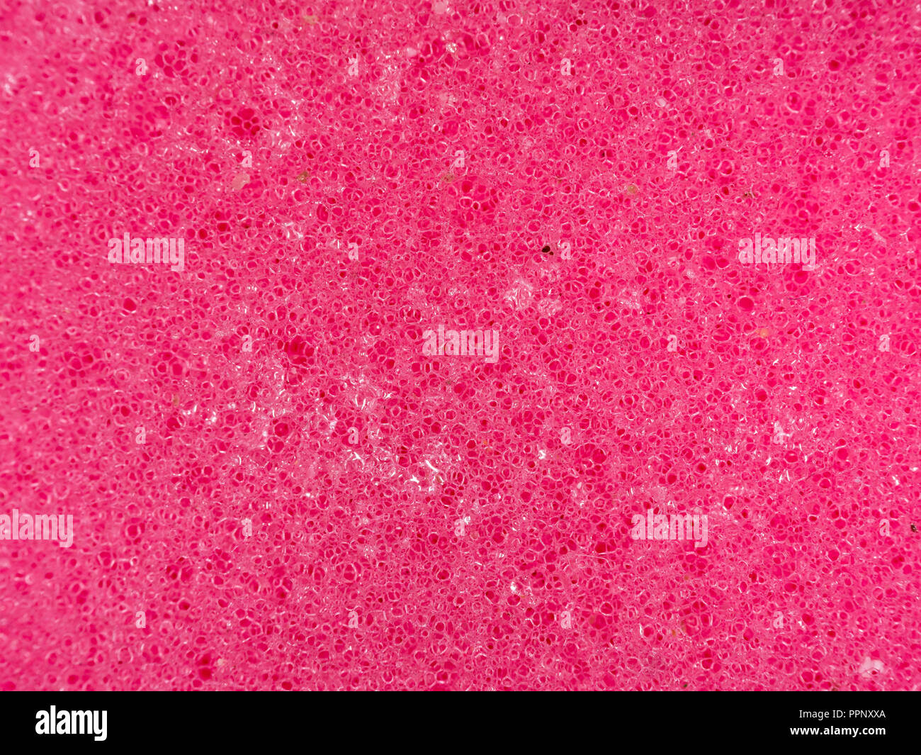 Pimk sponge texture background Stock Photo
