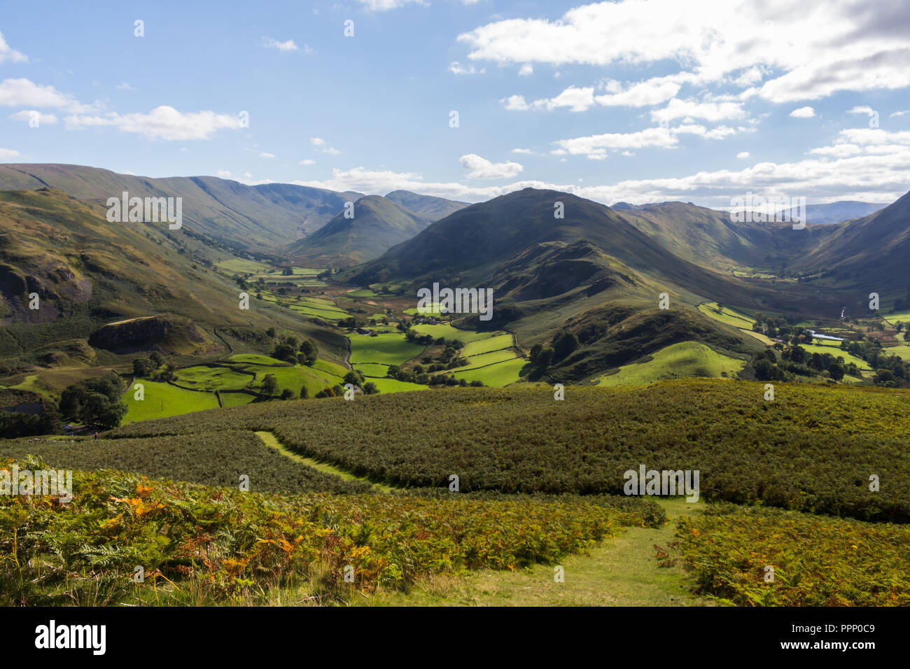 View over green fields from Hallin Fell to Martindale and Boardale valleys with Beda Fell in centre. Lake District, England. Stock Photo