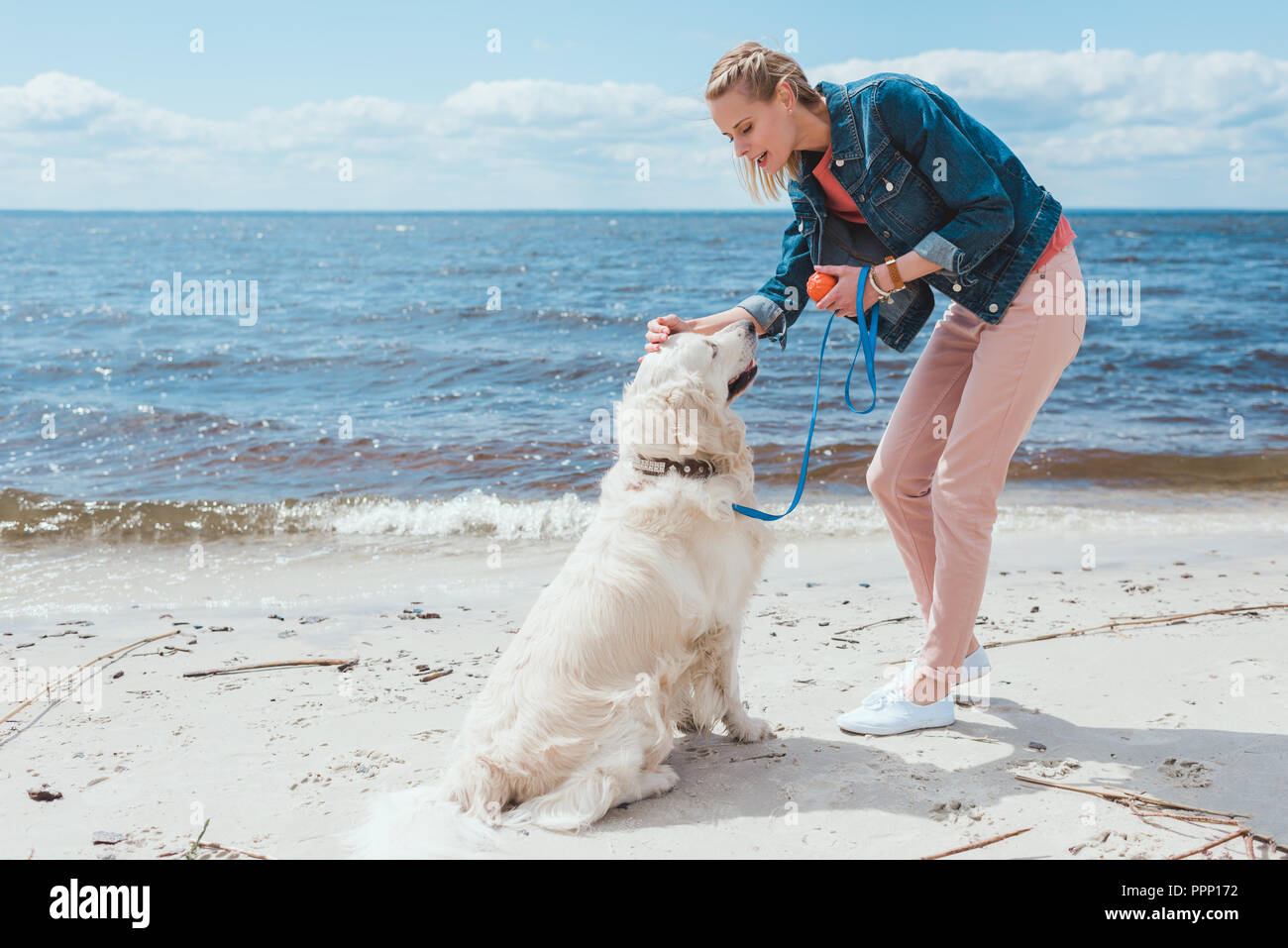Woman playing with golden retriever hi-res stock photography and images ...
