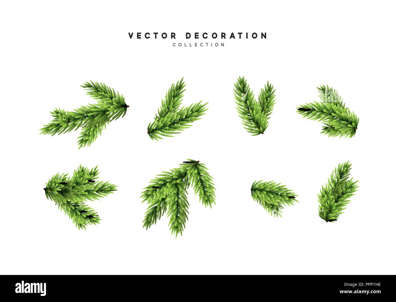 Set Christmas tree isolated on white background, pine fir branches ...