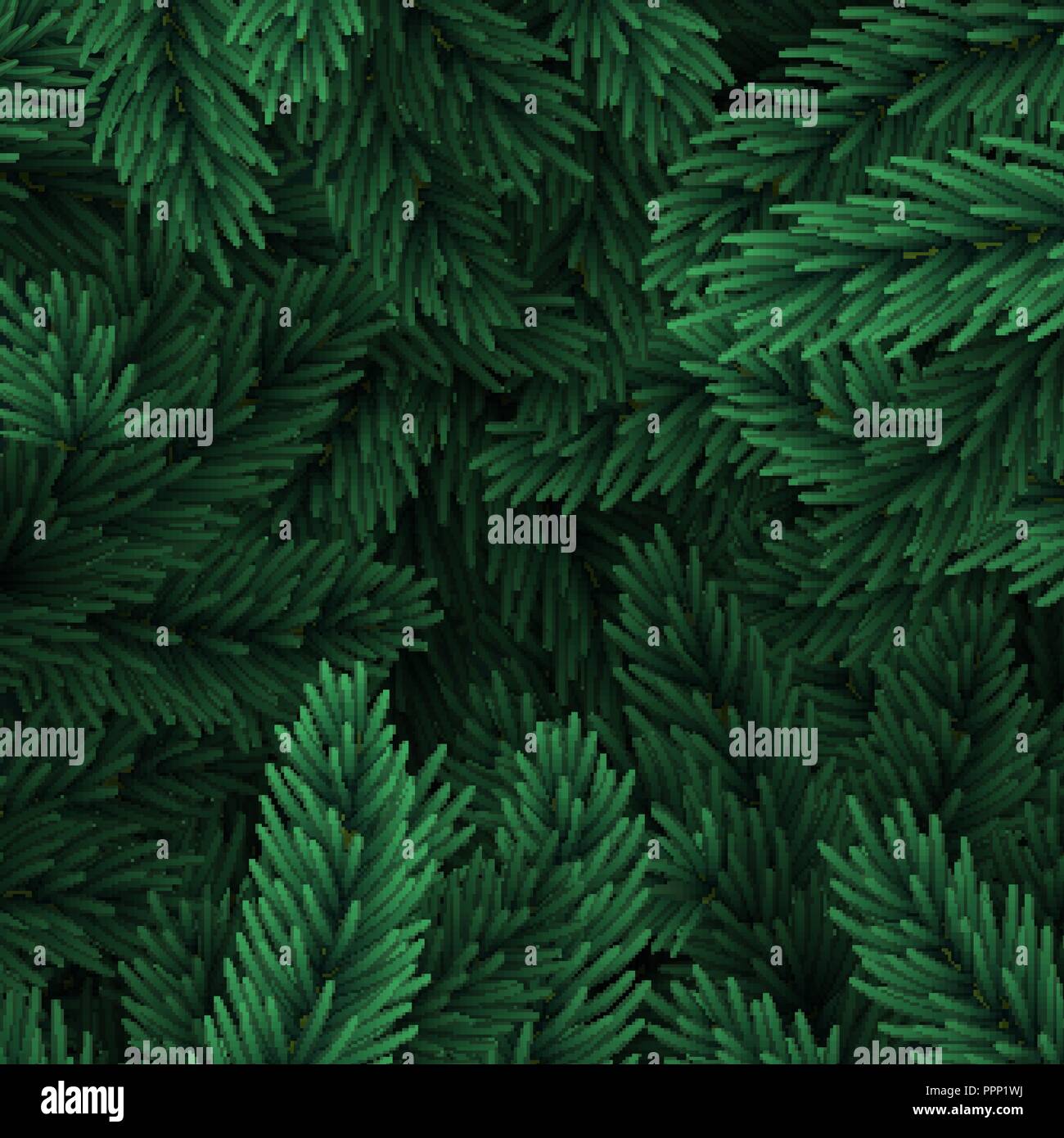 Background Christmas tree branches. Festive Xmas border of green branch ...