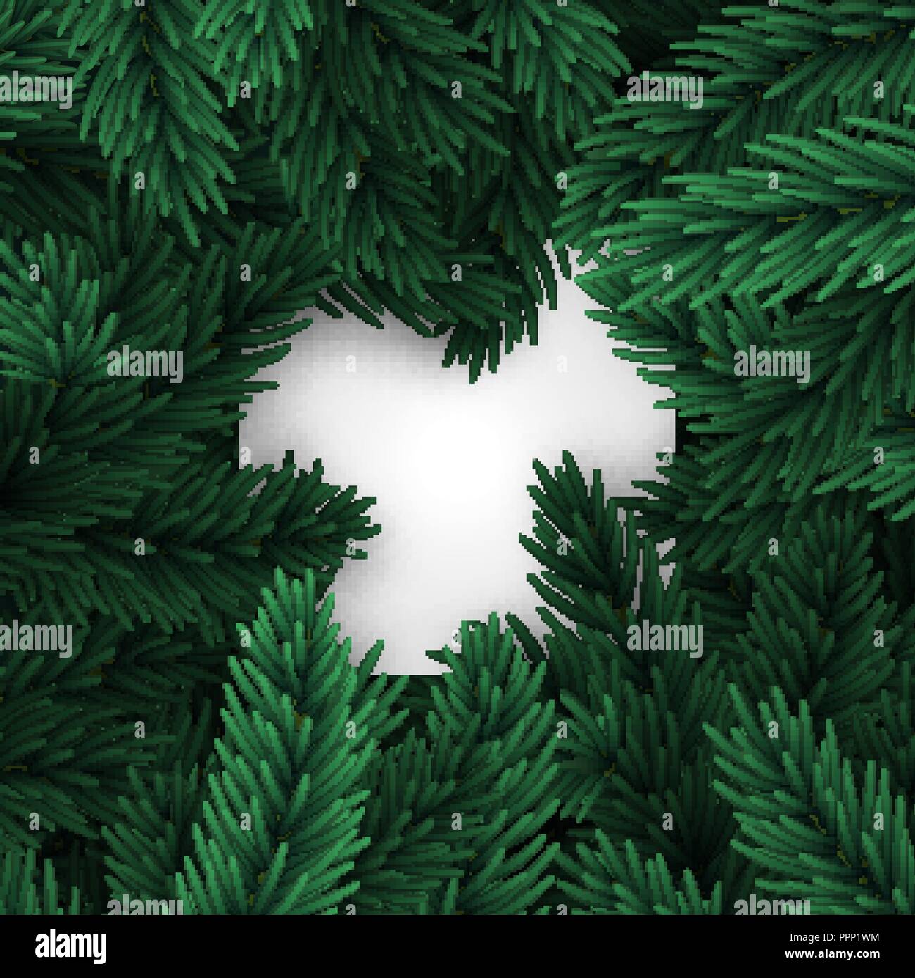 Christmas tree branches. Frame of green branch of pine. Festive Xmas ...